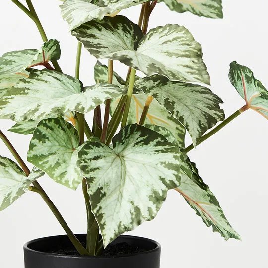Floral Interiors | artificial begonia plant in pot | green