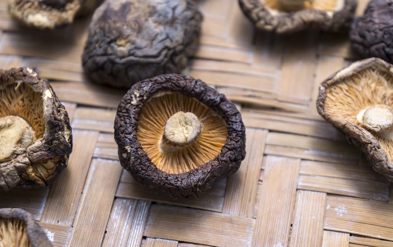 Inflammation Reducing Shiitake Mushroom