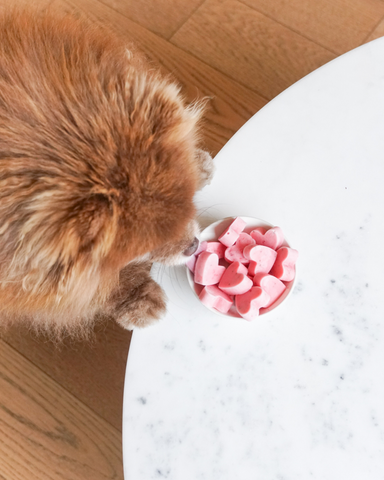 POM & CHI Pet Boutique Homemade Dog Treats for Valentine's Day