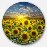 Field of Blooming Sunflowers Large Flower Metal Circle Wall Art