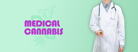 Doctor holding cannabis flower