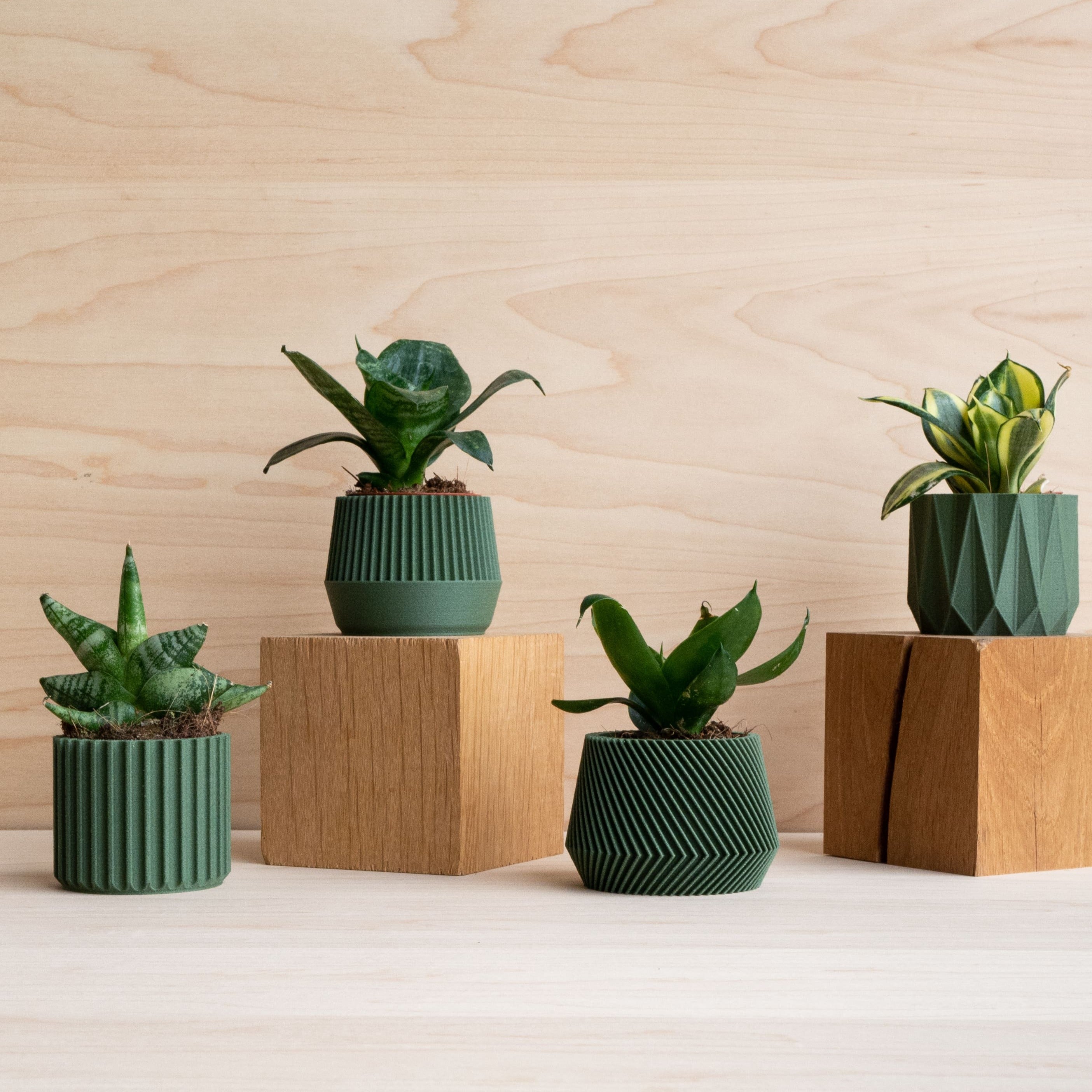 Bubble Plant Pot, 3D Printed Planter, Vintage Siena Planter With Drainage,  Minimal Decor, 4 5 6 7 8 Inch Plant Pots in Matte Terracotta 