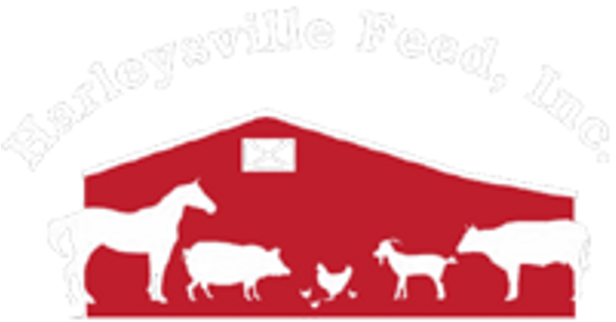 BUSY BUDDY PENGUIN TREAT HOLDING DOG TOY - Harleysville, PA - Harleysville  Feed Inc