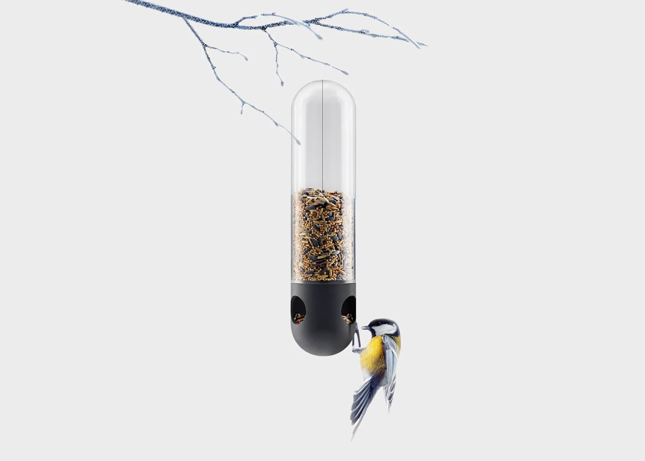 A bird feeding from an elongated bird feeding tube by Eva Solo hanging on a branch 