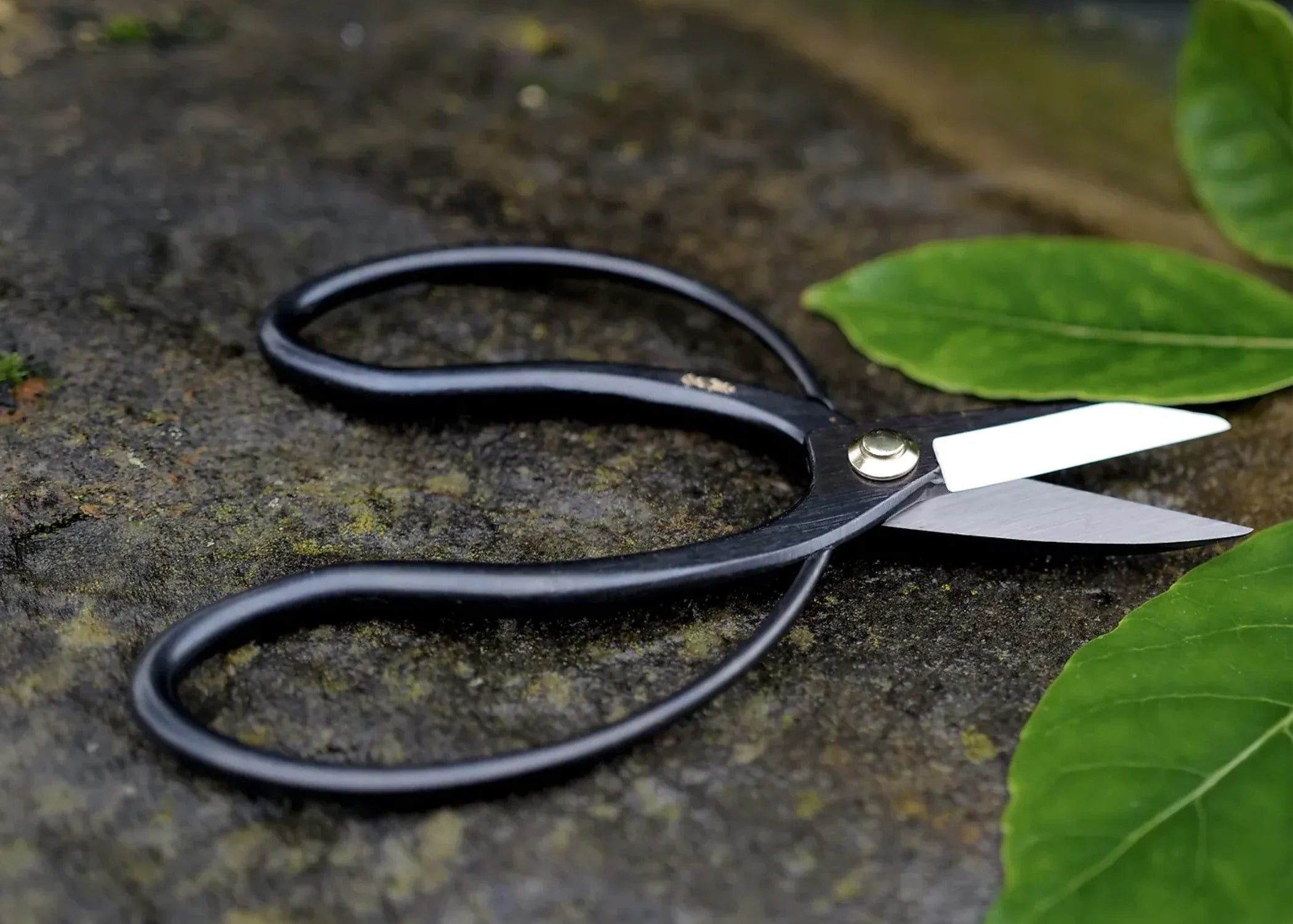 A pair of Higurashi Niwaki scissors laying on a rock next to some plants