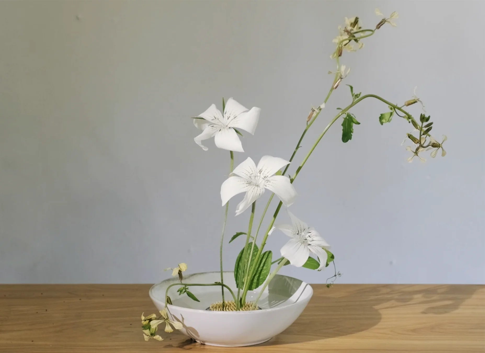 A kenzan plate inside of a white bowl displaying a bouquet of white flowers