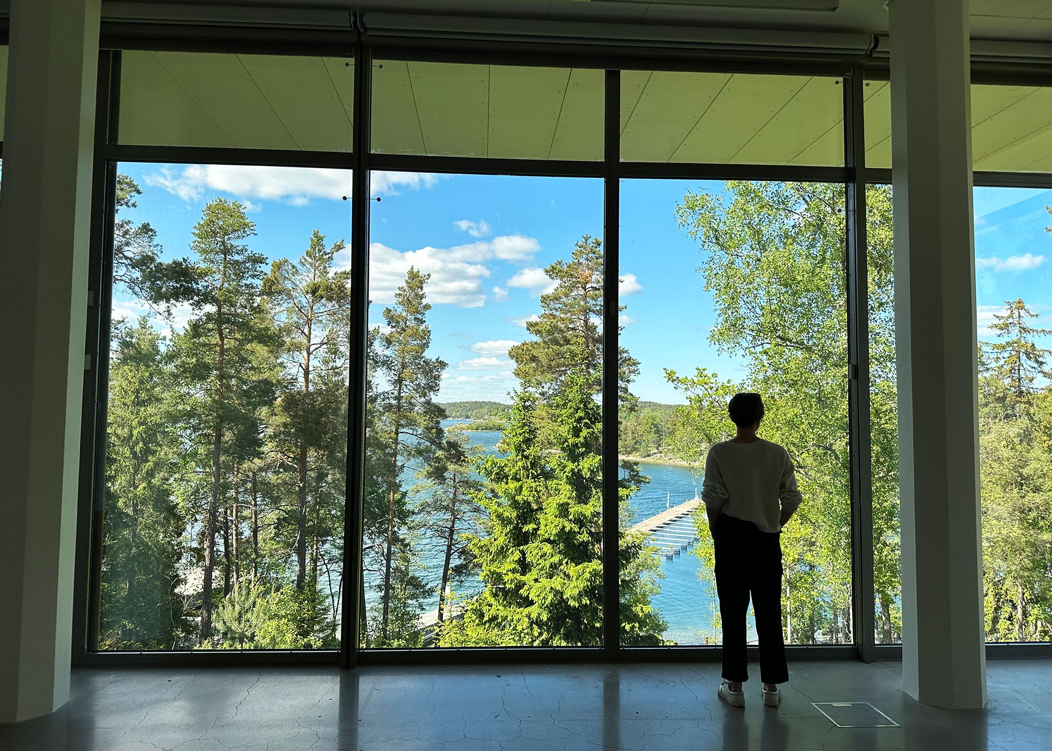 Someone admires Swedish nature while looking out of a window