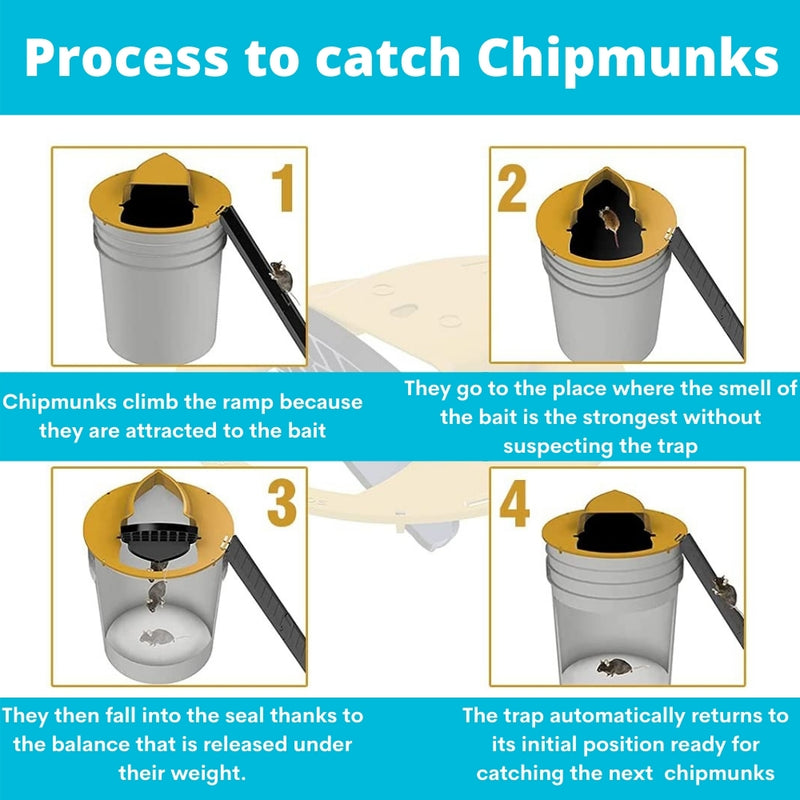 chipmunk bucket trap