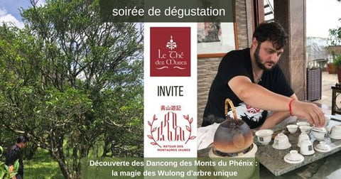 soirée de dégustation Dancong du Mont Phénix