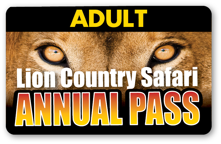 lion country safari yearly pass