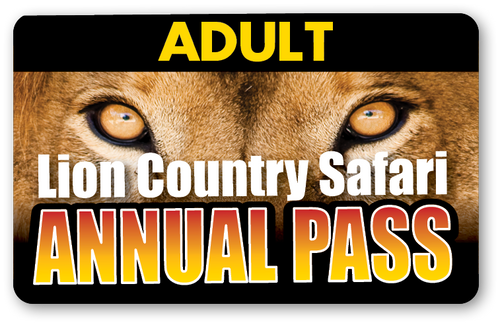lion safari tickets