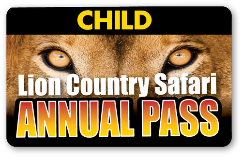 buy lion safari tickets