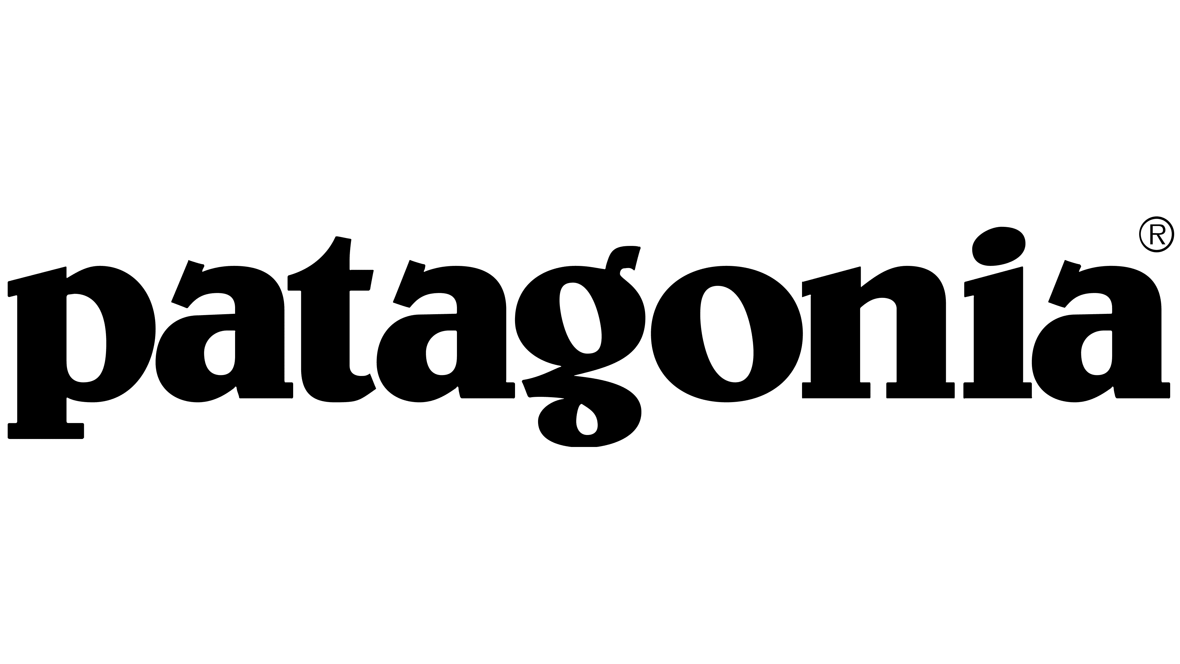 Patagonia-Logo.png__PID:de6ee932-0ad5-4eb7-918b-d4470282e57d