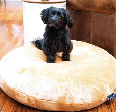 American Blanket Company Dog Bed