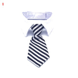 Formal Necktie Collar