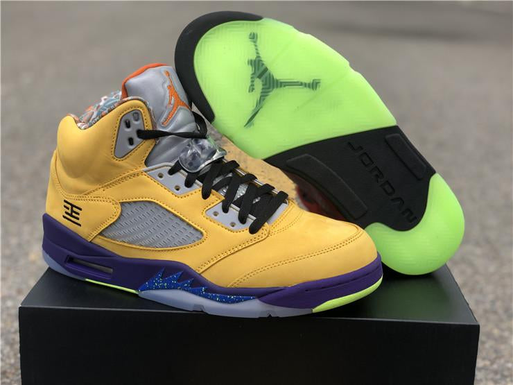 NIKE Air Jordan 5 AJ5 Sport Shoes 隆掳What The隆卤