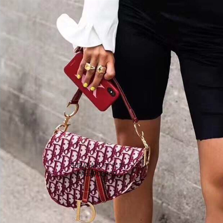 Dior Women Leather Shoulder Bag Crossbody Satchel -33