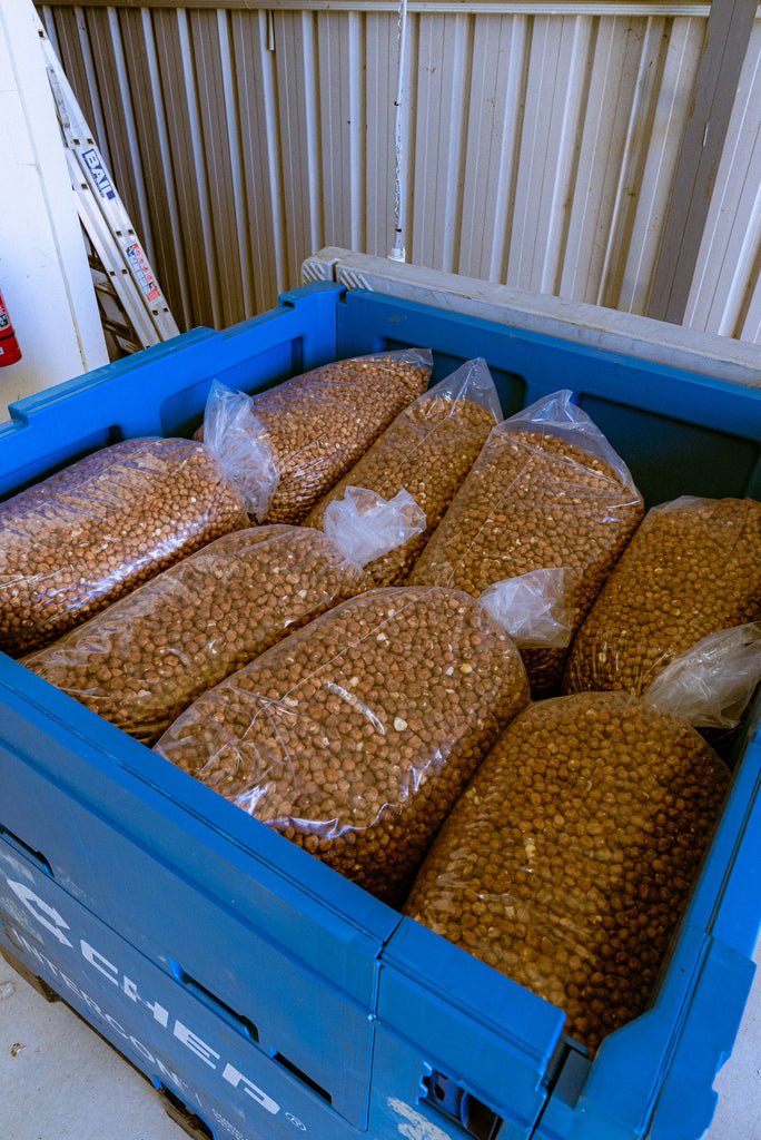 Messina Hazelnut Farm Seymour