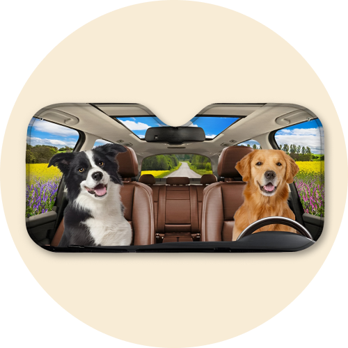 05_summer24_home-sbp_sunshade.png__PID:9eaddbac-3feb-4754-9047-29a88f58f28b