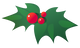 a mistletoe decoration