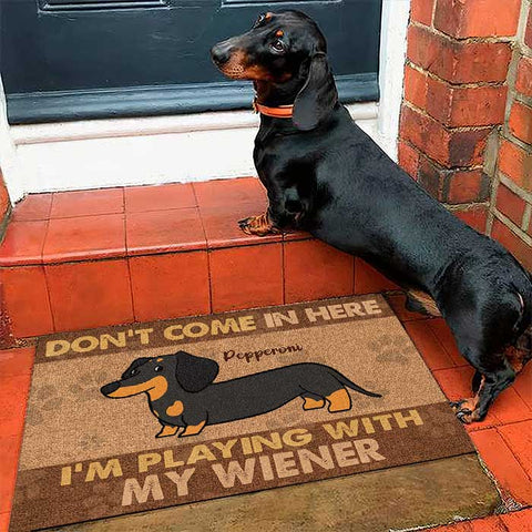 Welcome To My Home - Funny Personalized Cat Decorative Mat, Doormat -  Pawfect House ™