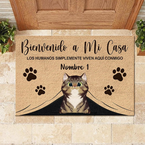 chaos Wat dan ook krokodil Bienvenido A Mi Casa Spanish - Funny Personalized Cat Decorative Mat, -  Pawfect House ™