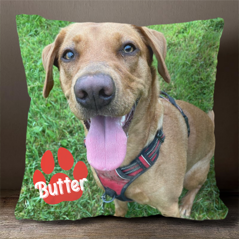 Personalized Pet Pillow Cover With Insert Paw Print Design 