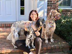 Woman sitting on a front porch with two English Setters