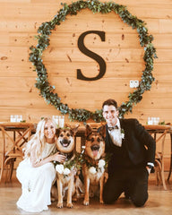 Young woman and man on their wedding day with their two German Shepherd Dogs