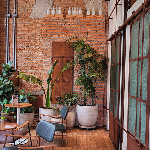 room with brick walls and plants