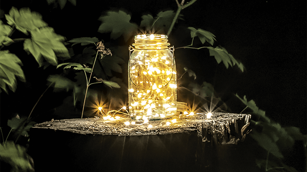 Mason jar fairy lantern on tree stump.