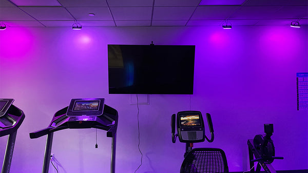 Cardio machines and smart flood lights glowing in various shades of pink above.