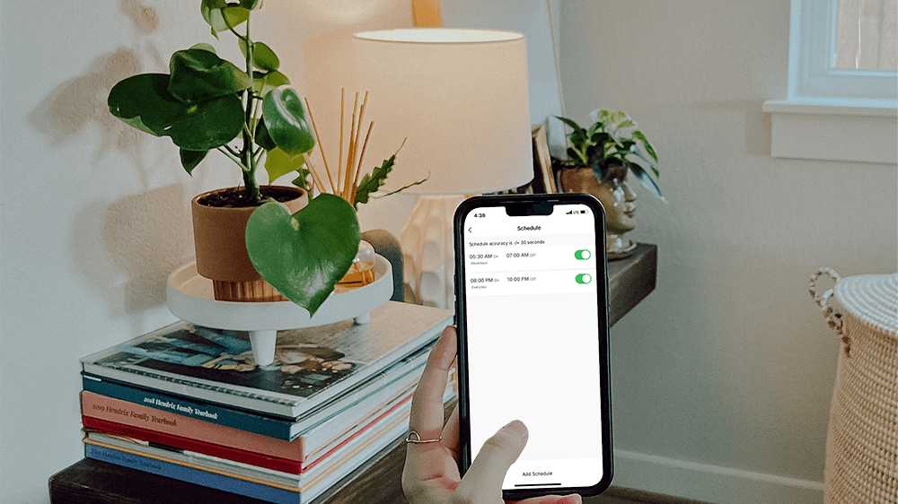 Lamp turned on in corner of a room with a person holding a phone up and the schedule screen of the Feit Electric app showing.