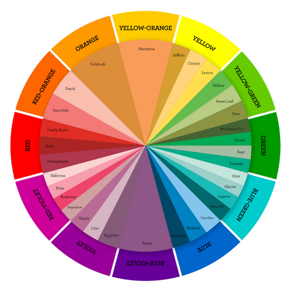 Colour wheel (Img courtesy: Google)