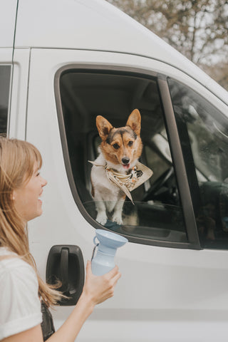 a dog in a car window looking at a water bottle holding by a girl.