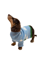 a dog wearing Sweaters from Little Beast