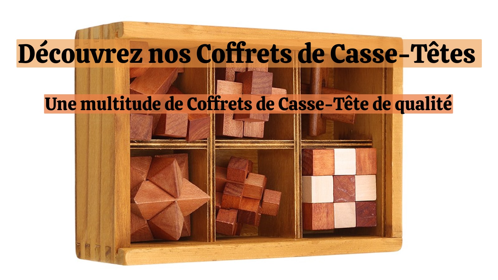 Coffret Casse-Tête Mixte en Bois et Métal – Planète Casse-Tête