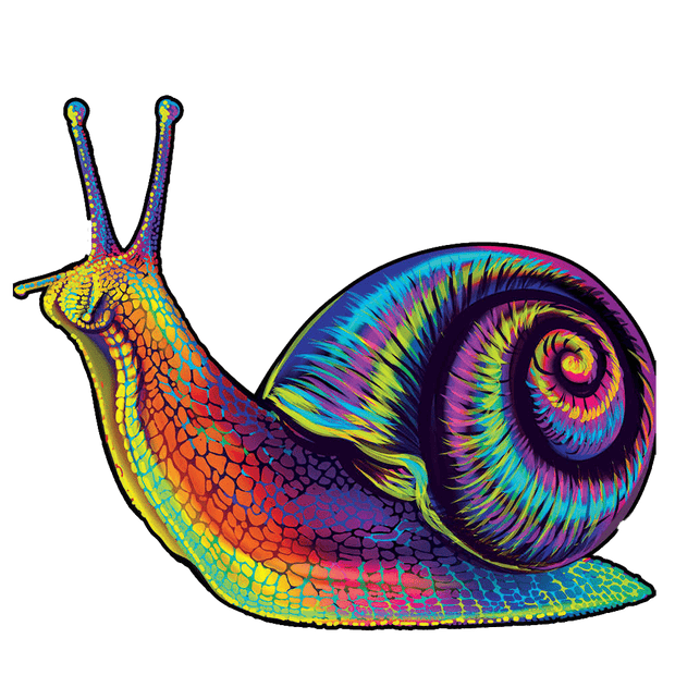 Bel escargot coloré en puzzle pour adulte et enfant