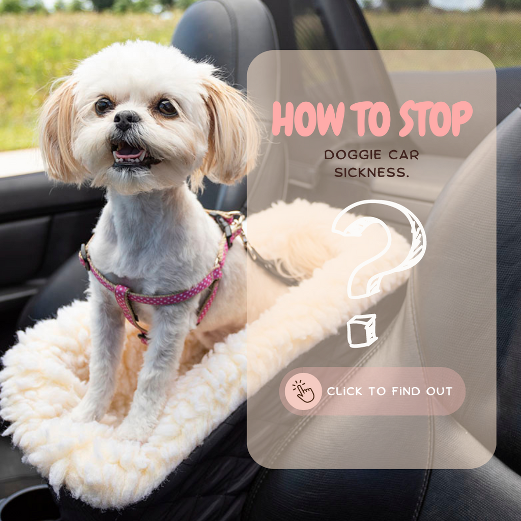 how do you know if your dog gets car sick