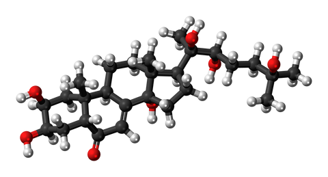 Turkesterone Chemical Structure