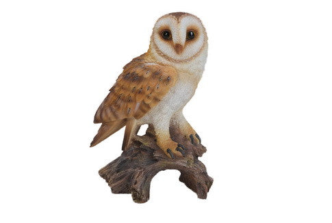 Buy Barn Owl On Stump - Small for Sale Online in USA & Canada ...