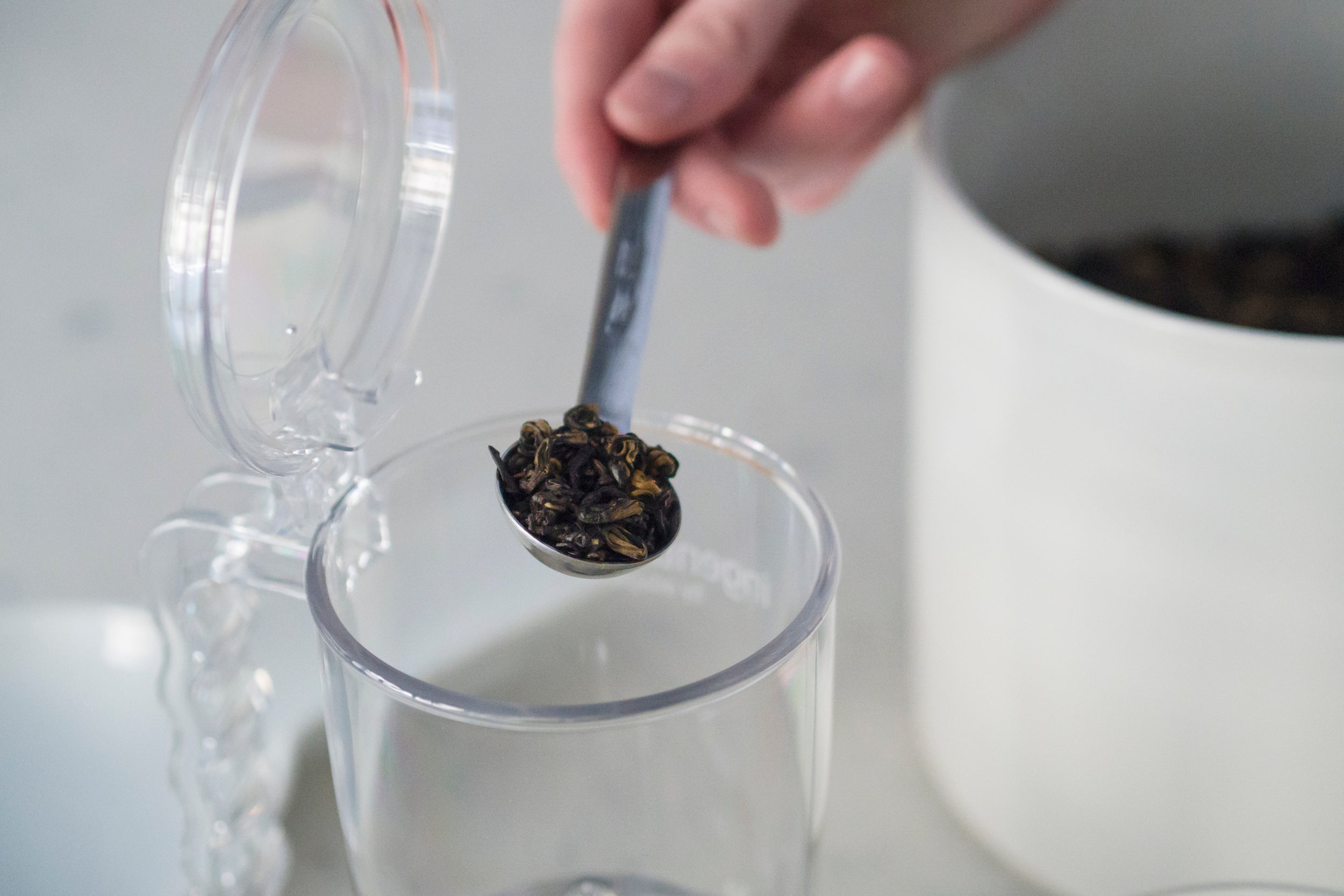 Tea leaves being added into ingenuitea.