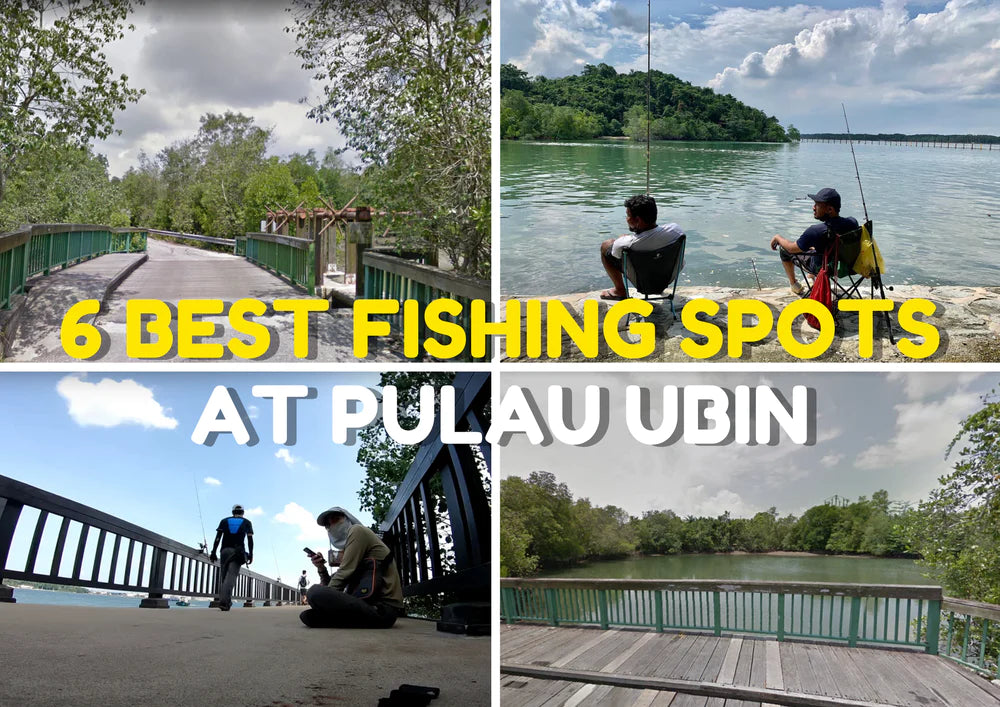 6 Best Fishing Spots at Pulau Ubin