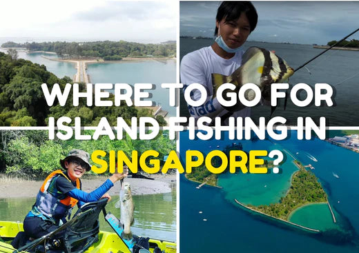 Where to Go for Island Fishing