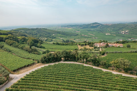 Foto panoramica della Valpolicella