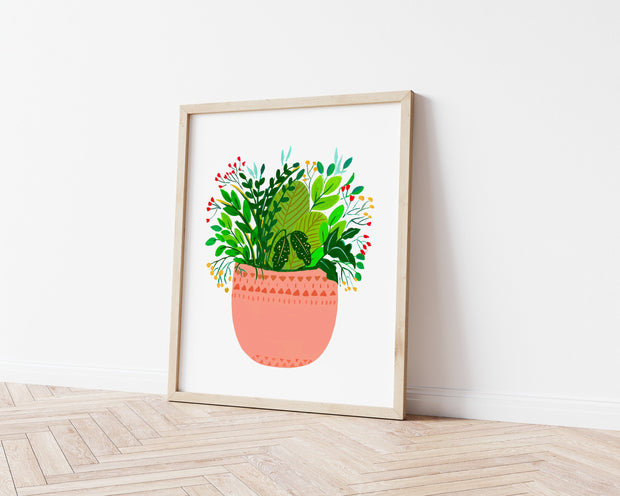 Assorted potted plants- Eila