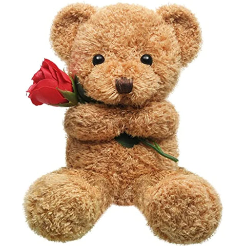 Valentines’ Day Rose Teddy Bear