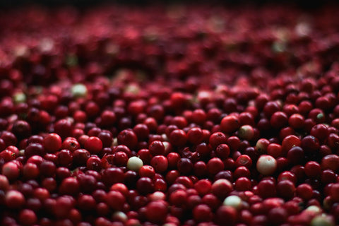 A close-up of vibrant, ripe cranberries, highlighting the natural beauty of this healthy fruit.