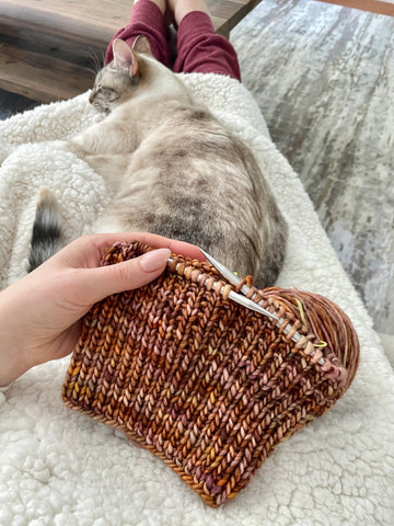 Woman sitting with a cat, with a knit hat in progress