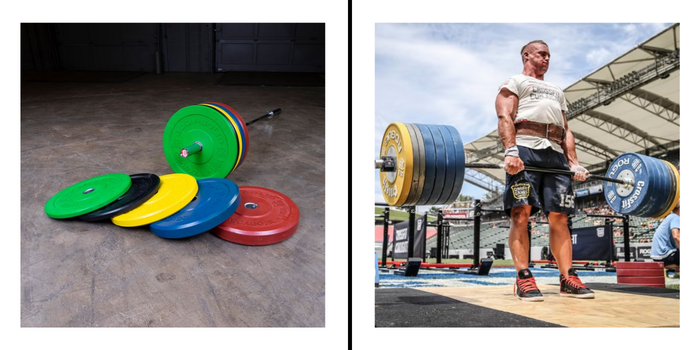 Body Solid Weights Vs. Rogue Weights